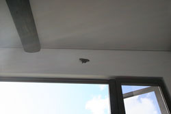 コの字プランの家