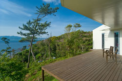 くねくねハウス